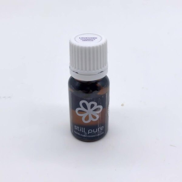 rose geranium essential oil