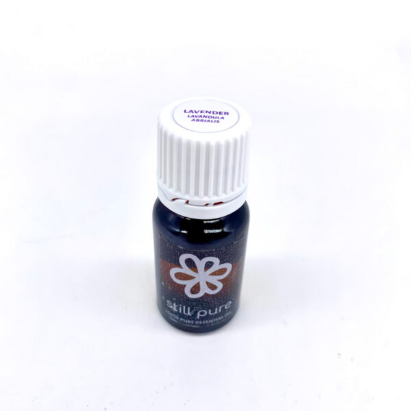Lavender Essential Oil 10ml